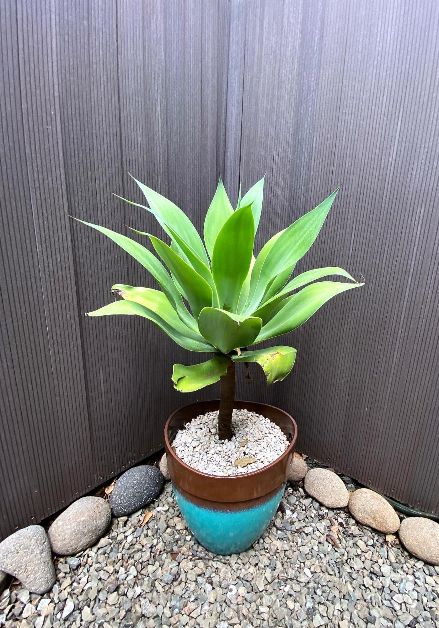 Villas Kalei 格兰德海滩 外观 照片