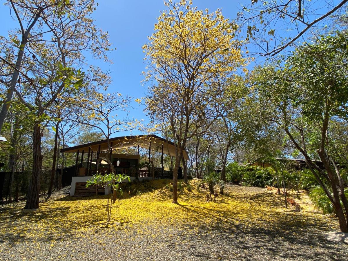 Villas Kalei 格兰德海滩 外观 照片